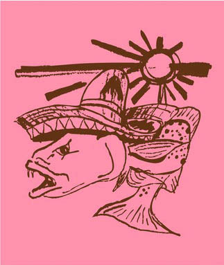 Sombrero Trucho-Pink